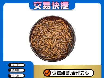保定高碑店市高价回收散虫草